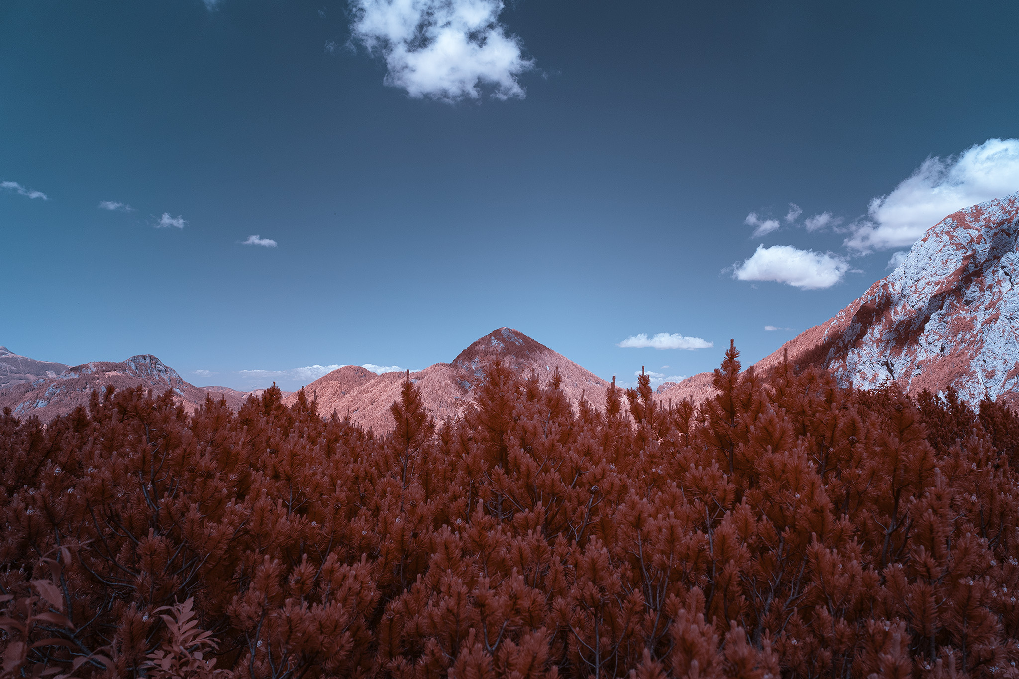 46.370352°N 14.534000°E